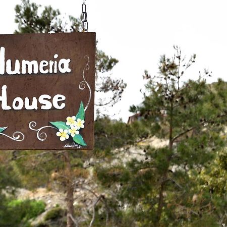 Plumeria House 아크앤젤로스 외부 사진