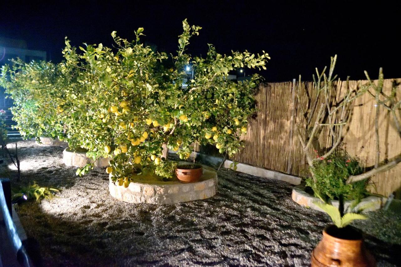 Plumeria House 아크앤젤로스 외부 사진